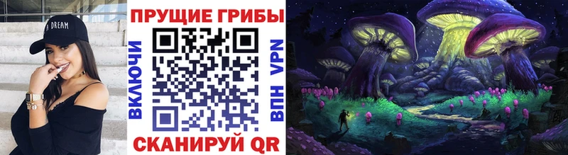 Псилоцибиновые грибы Cubensis  наркота  Шуя 
